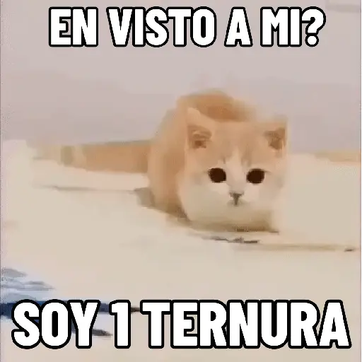NO ME DEJES EN VISTO ✔️✔️😾 4