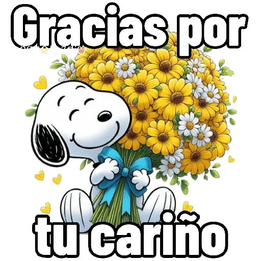 Gracias por tu carino