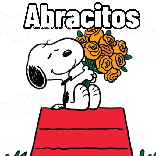 Abracitos