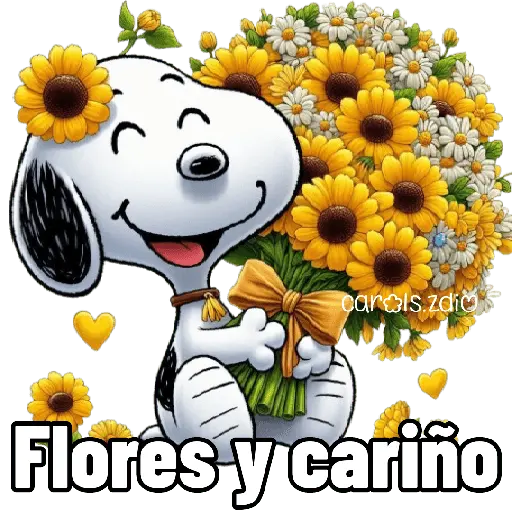 carols.zdio Flores y cariño