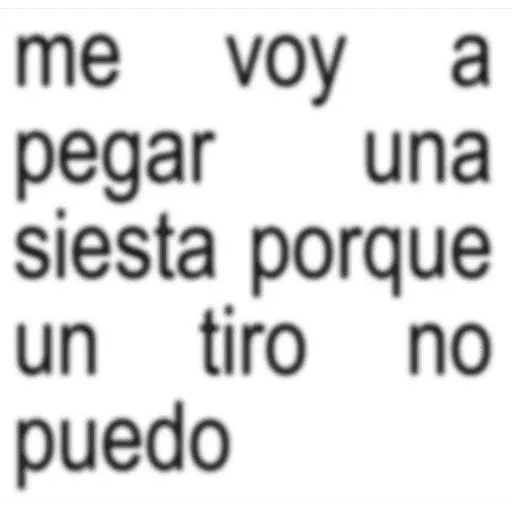 Frases Salvatore pal grupo🫂 11