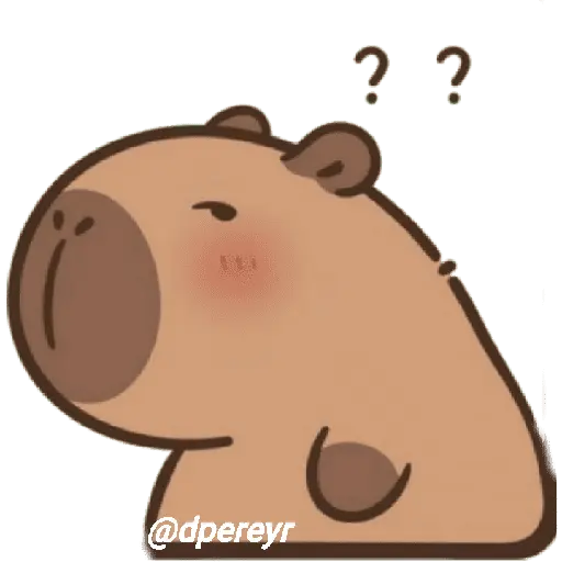 capibara 12