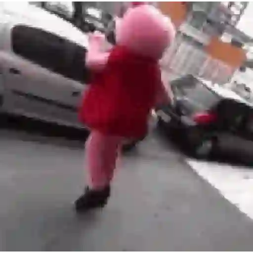 🐽 Peppa pig 🐷 16