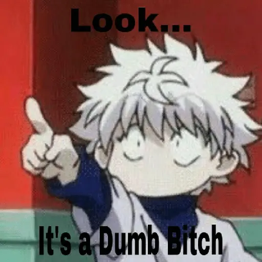 hunter x hunter 6