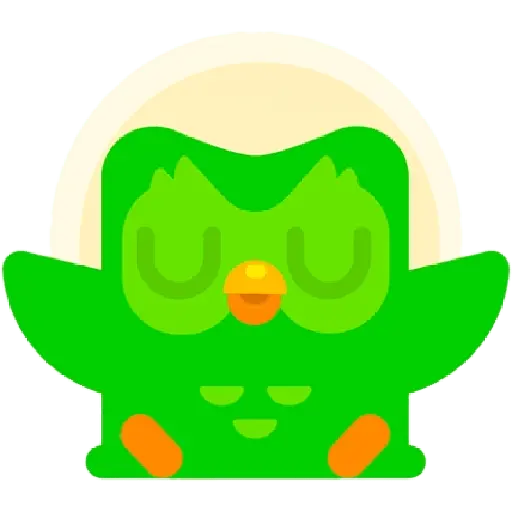 Duolingo 7