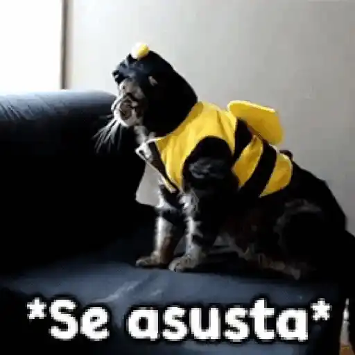 🎃 Halloween Pets 🎃 22