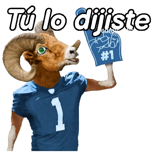 Animales Random pa contestar 💬 16