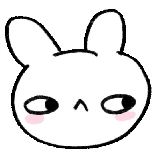 BUNNY 🤍🐰 13